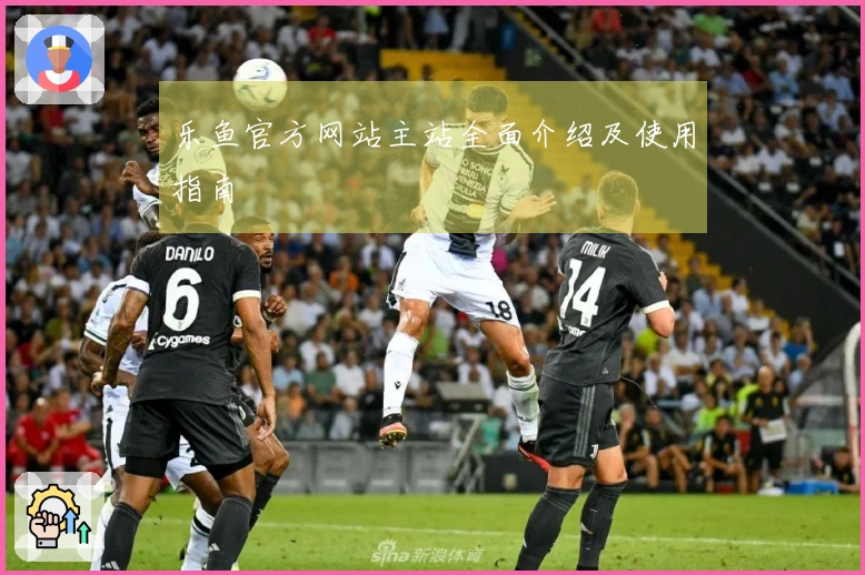 乐鱼官方网站主站全面介绍及使用指南