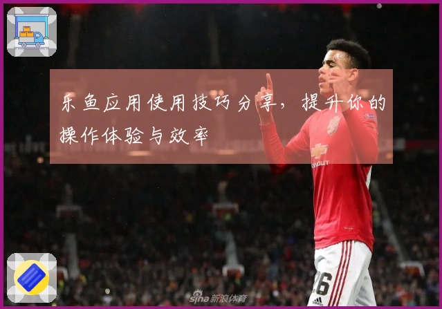 乐鱼应用使用技巧分享，提升你的操作体验与效率