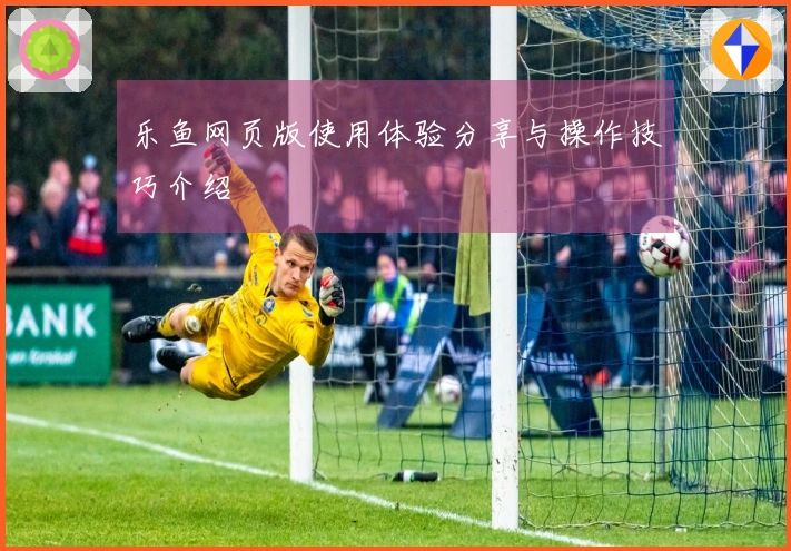 乐鱼网页版使用体验分享与操作技巧介绍