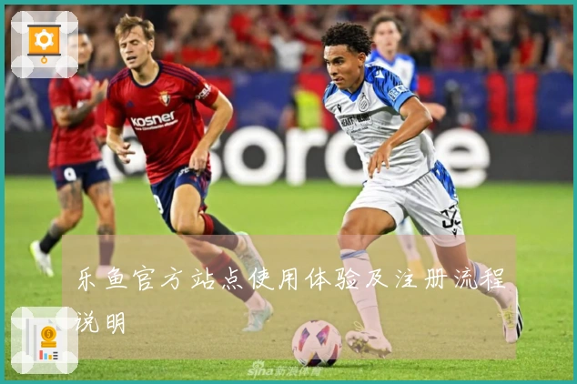 乐鱼官方站点使用体验及注册流程说明