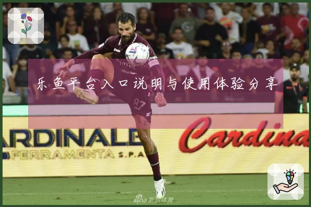 乐鱼平台入口说明与使用体验分享